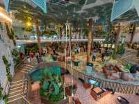 🚢 Celebrity EDGE Review: A Sophisticated, Adults-Focused Floating Oasis 🌊✨