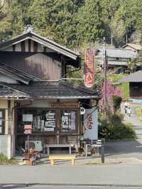 Hidden Gem of Kyoto ✨