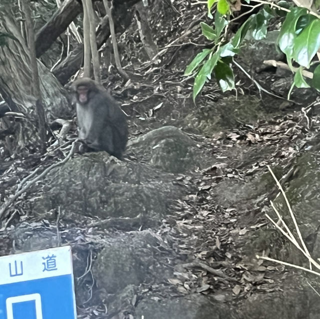 【釈迦ヶ岳】🏔️ 鈴鹿セブンマウンテン