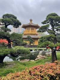 A scenic classical garden in Hong Kong you can’t miss…