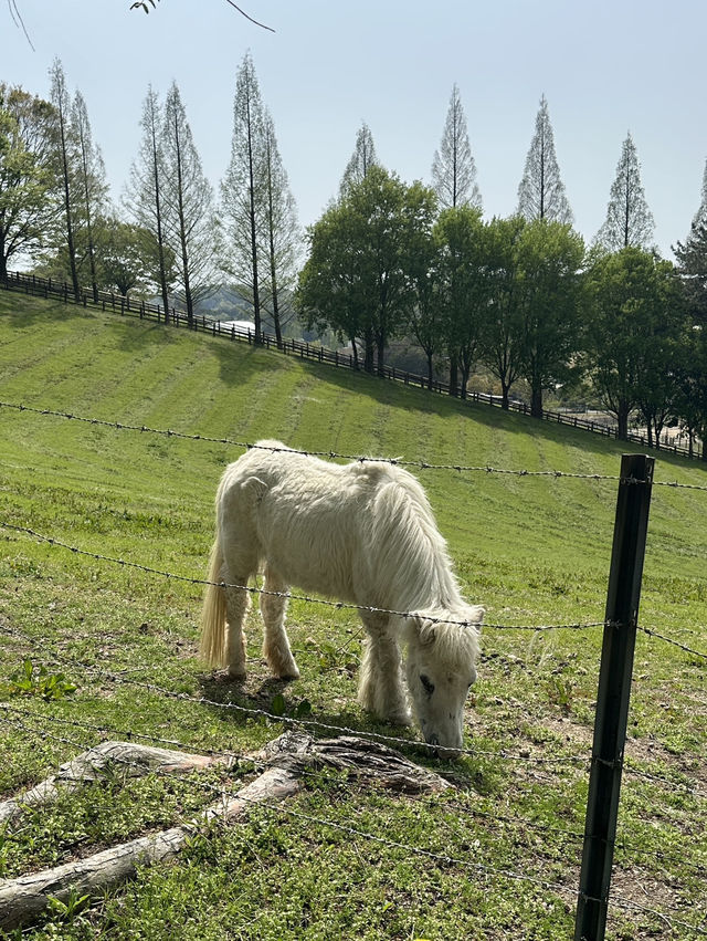 【愛知】動物と近い距離で触れ合える！鞍ヶ池公園、動物ふれあい広場