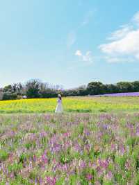 【淡路島】一年中お花を楽しめる楽園🩵🌼