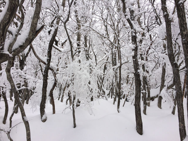 제주 겨울 한라산 백록담