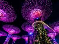 A Walk Through the Future: Exploring Gardens by the Bay, Singapore