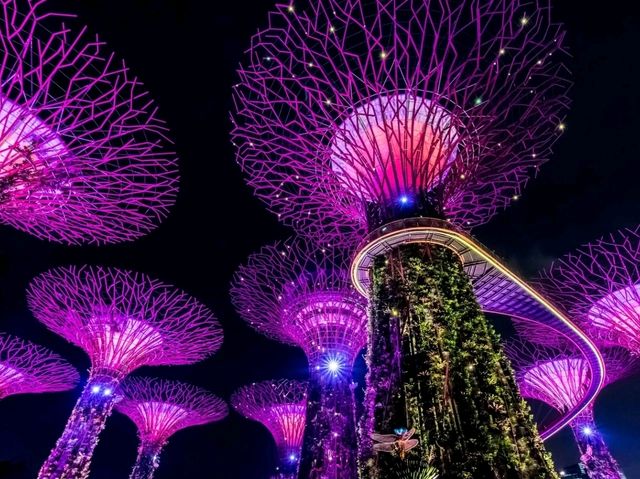 A Walk Through the Future: Exploring Gardens by the Bay, Singapore