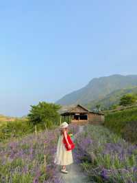 Checkin Sapa