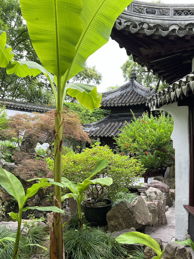 Yuyuan Garden: A Serene Treasure in the Heart of Shanghai