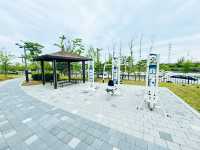A Park for Everyone: Gungri’s Charm