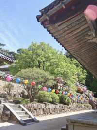 경주여행 유네스코 세계문화유산 보러가요🔔