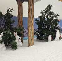 唔使100元可以全日任玩娛雪項目