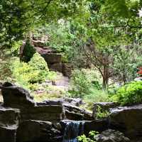 Peaceful Retreat – Royal Botanical Gardens in Late Summer 