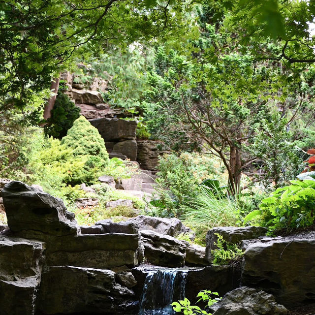Peaceful Retreat – Royal Botanical Gardens in Late Summer 