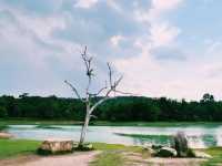 อ่างเก็บน้ำสายศร ตั้งอยู่ในอุทยานแห่งชาติเขาใหญ่
