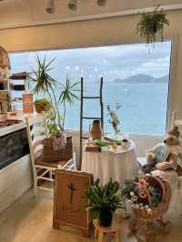 The Cutest Café by the Sea in Busan – Picture-Perfect & Peaceful