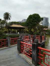 Cherry Blossoms & Skyline Views – A Sweet Surprise in Taipei