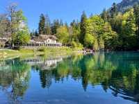 瑞士藍湖 Blausee，如畫一般的透藍翠綠絕景