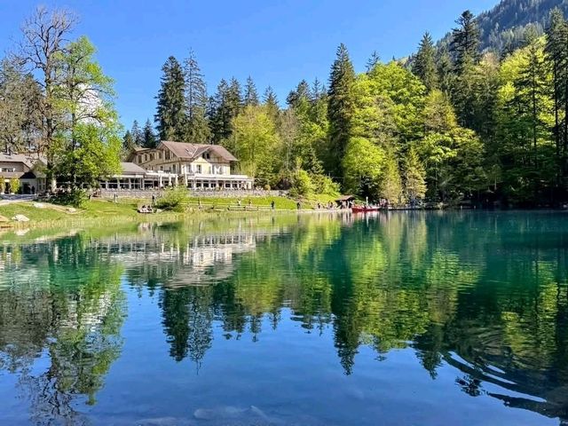 瑞士藍湖 Blausee，如畫一般的透藍翠綠絕景