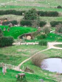 Hobbiton Movie Set Tour – A Must-See in New Zealand