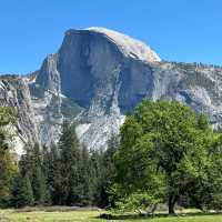 🏔️ Escape to Yosemite: A Breathtaking Day Trip from San Francisco! 🏞️