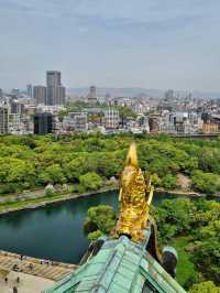 Osaka Castle