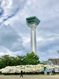 24 Hours in Hakodate – Seafood, Skylines & Satisfying Sprints