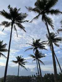 Coconut Tree Hill : Best sunset in Mirissa