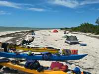 Hiking the River of Grass: Trails Through the Everglades