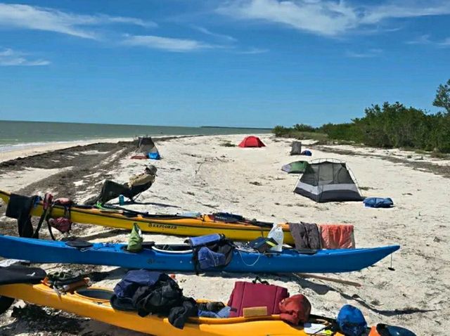 Hiking the River of Grass: Trails Through the Everglades