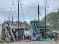 Sailing Through a Stone Dream: Exploring the Magic of Ha Long Bay
