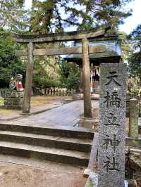 A Slow Day in Amanohashidate – Mist, Myths & a Bit of Magic