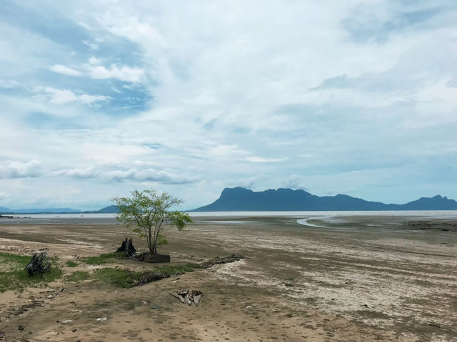 Walk into the nature in Kuching