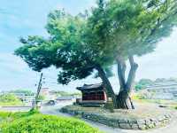 Hidden Gem Near Camp Humphreys
