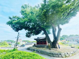 Hidden Gem Near Camp Humphreys