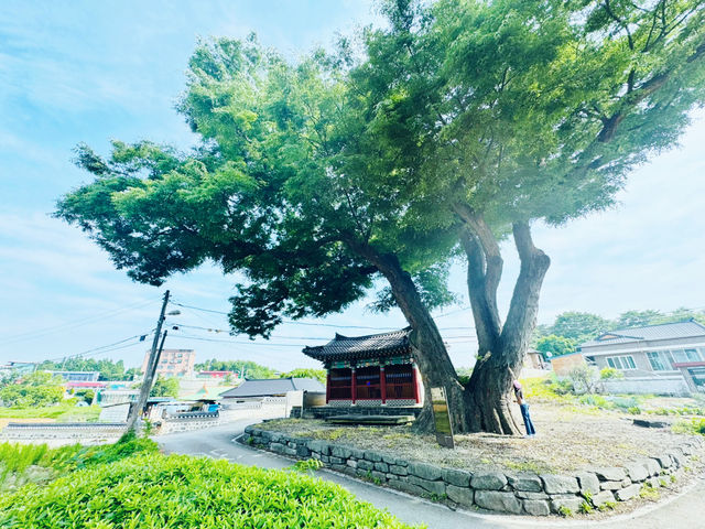 Hidden Gem Near Camp Humphreys