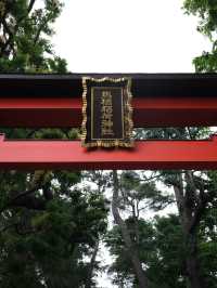 【東京🇯🇵】週末のんびり杉並観光Day🤍