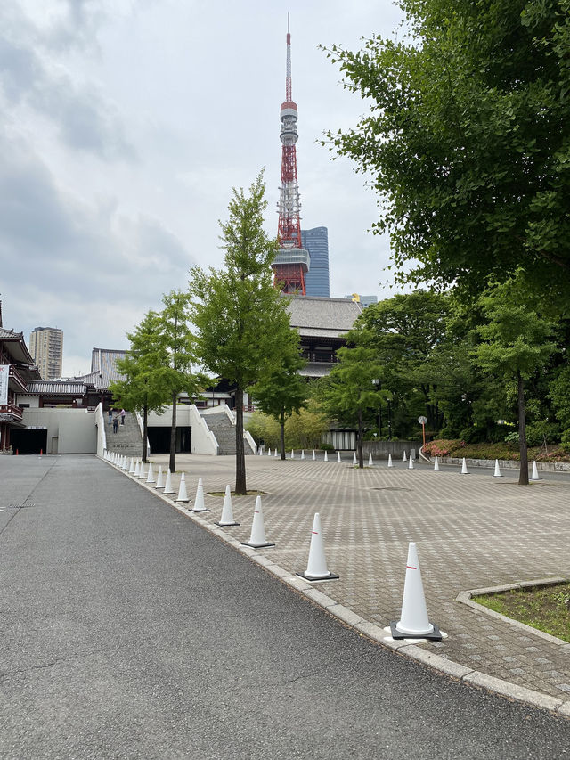 【東京都芝公園🇯🇵増上寺】徳川家の菩提寺/日本有数の寺院☺️