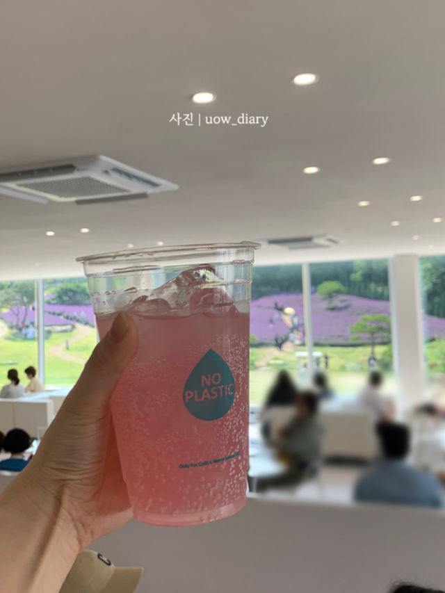 지금은 라벤더시즌💜✨ 인생샷 남겨봐!