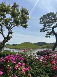 사계절 야외데이트 장소로 딱인 ’순천만국가정원’ 🌸🌿