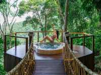 ‘Lan Na Wild’ ..สวรรค์กลางป่าใหญ่บนยอดดอย