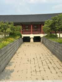 🏯 시간 속을 산책하다, 경복궁🍀🤍