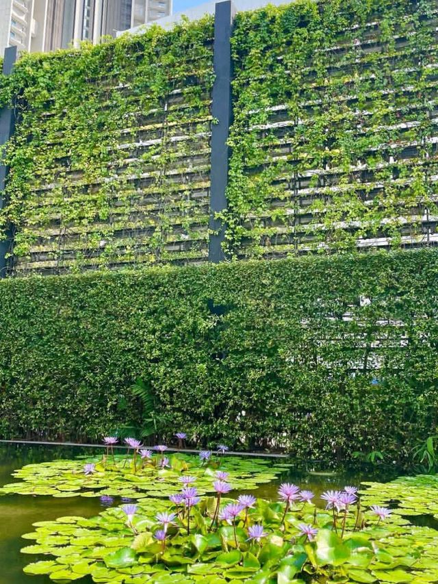 🌟 Millennium Hilton Bangkok – Riverside Luxury with Iconic Views!