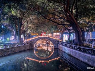 The Chinese Fairytale Tree Tunnel of Tongli