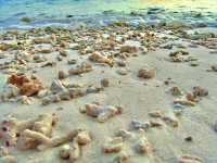 Golden Hour in Paradise: Sunset Escapes on Pulau Perhentian