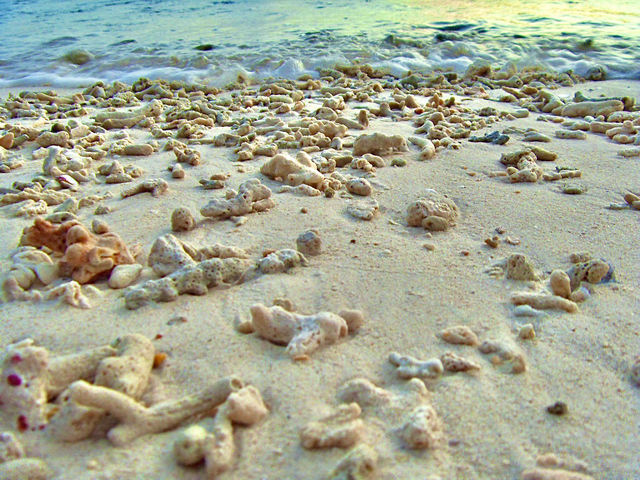 Golden Hour in Paradise: Sunset Escapes on Pulau Perhentian
