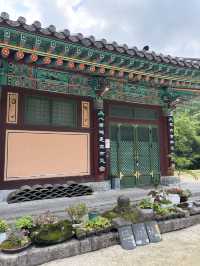 인생사진 찍을 수 있는 구례 화엄사🫡