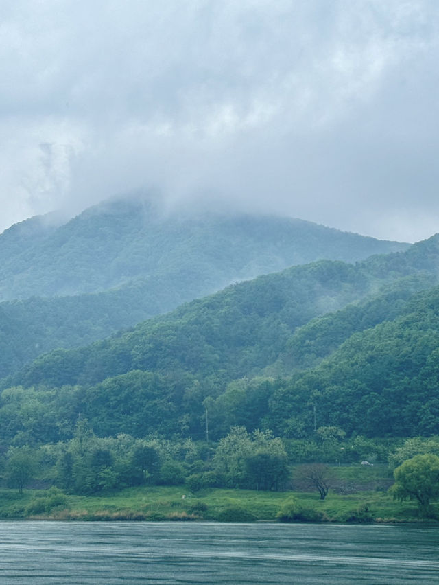 리버레인은 꼭가자