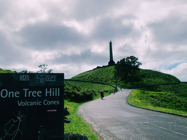 📍Auckland, New Zealand 🇳🇿 奧克蘭，一座可以讓你邊喝咖啡邊登火山、早上看港口帆船、晚上吃移動餐車的城市。✨