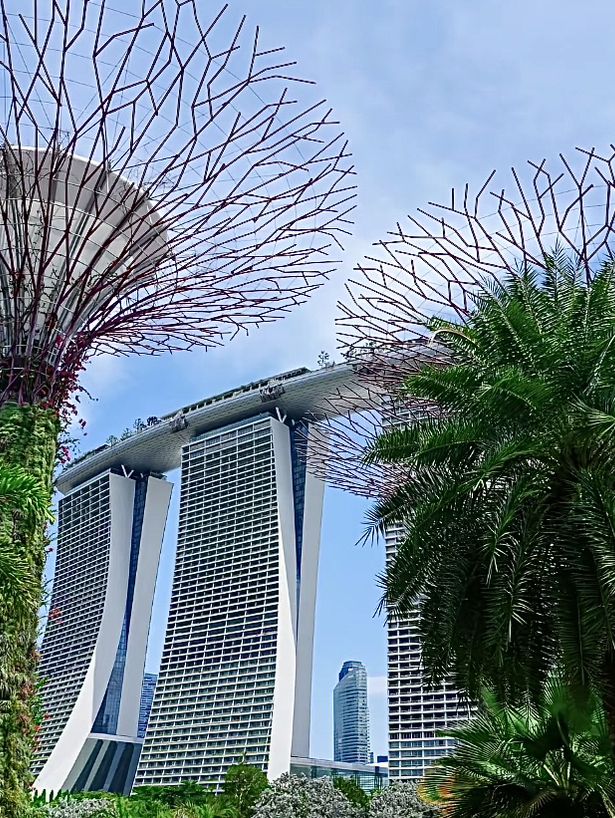 สิงคโปร์🇸🇬