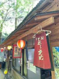 【大阪箕面】新緑の時期に箕面の滝を満喫🌿