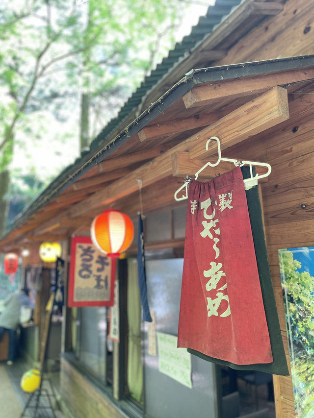 【大阪箕面】新緑の時期に箕面の滝を満喫🌿